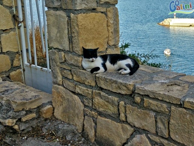Agia Galini